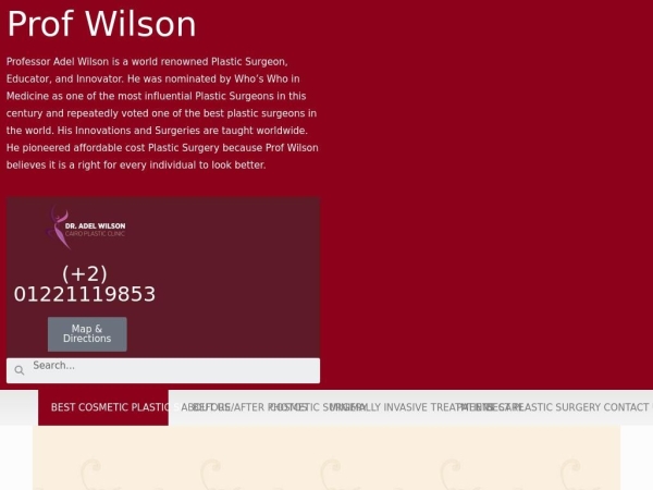 prof-wilson.com