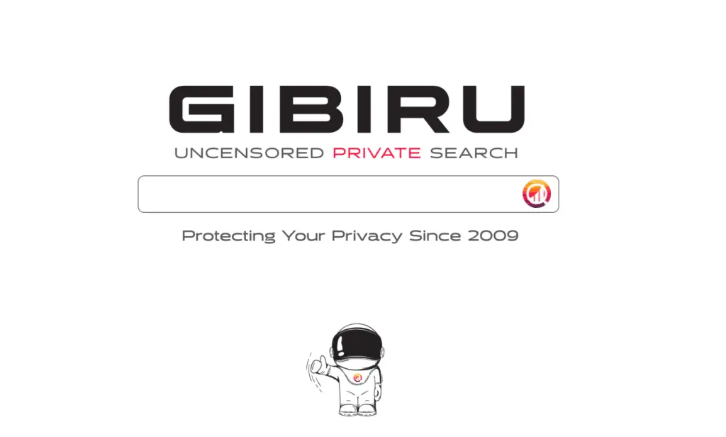 15 Privacy-Focused Search Engines Alternative to Google to use in 2023 7