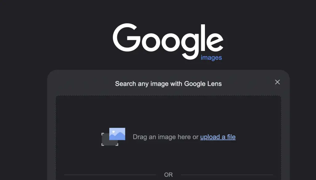 Google Images SEO in 2024: Best Practices 1