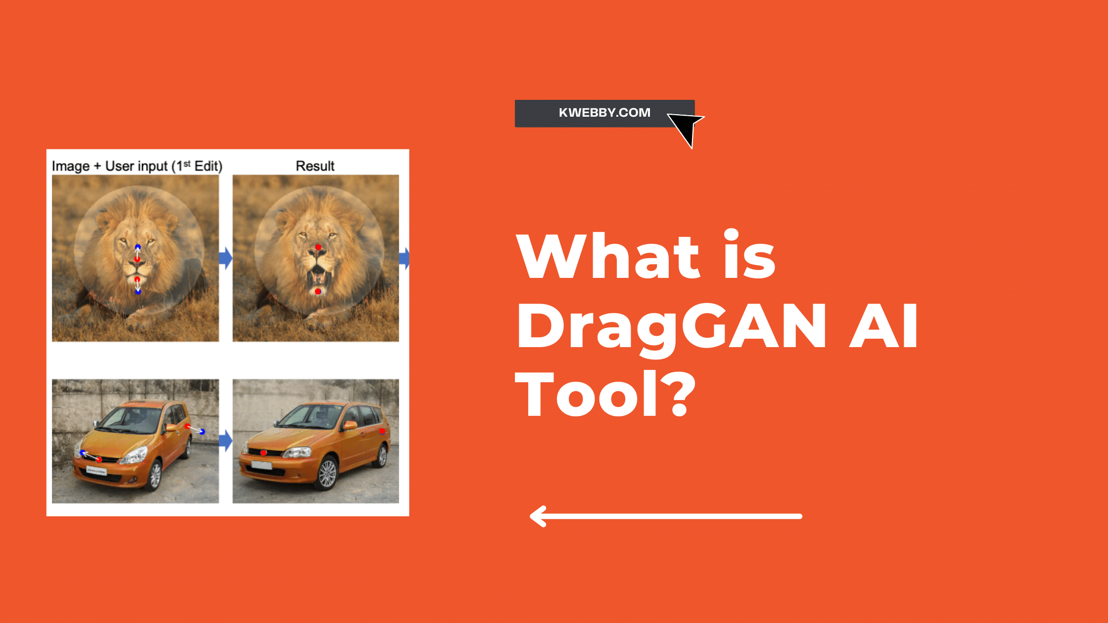 What is DragGAN AI Tool Which Took the Internet by Storm? 4 Incredible Features