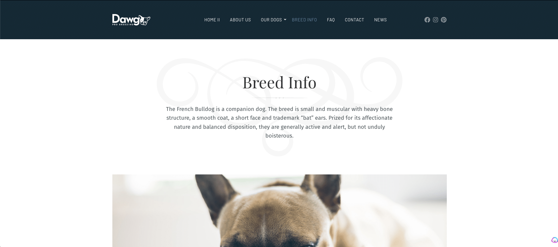 How to Create A Dog Breeding Website (Step-By-Step Guide) 10