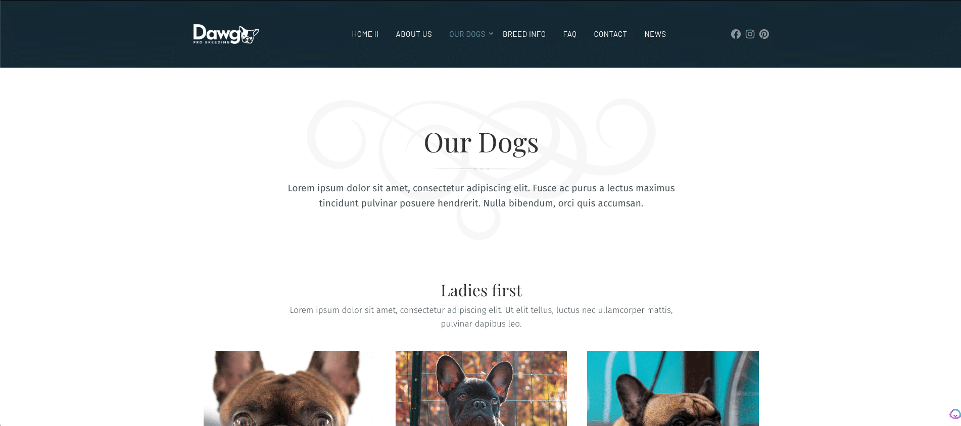 How to Create A Dog Breeding Website (Step-By-Step Guide) 11
