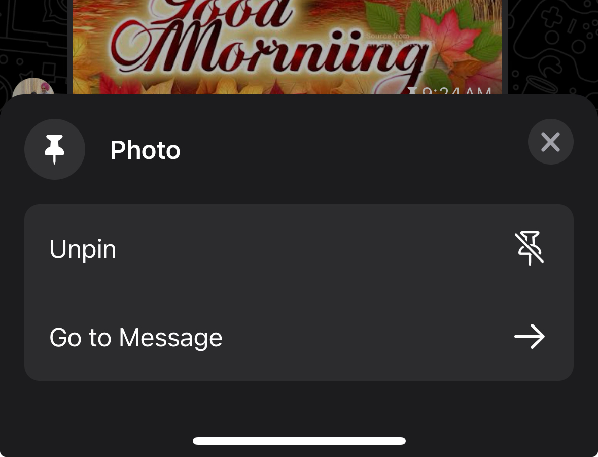 How to Pin & Unpin Messages on WhatsApp (All Devices) 3