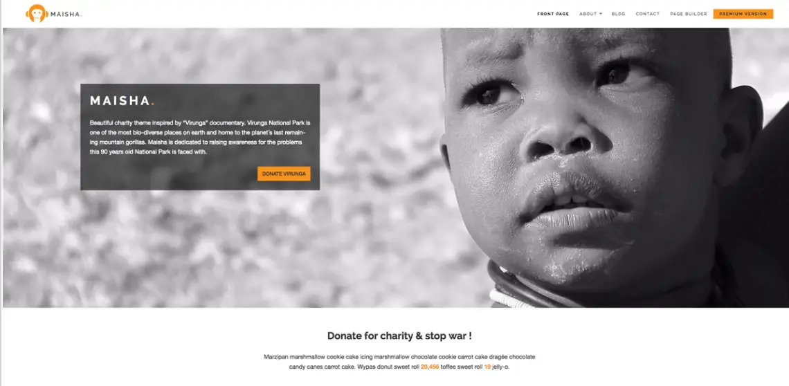 Best WordPress themes for NonProfits Organizations in 2024 (Mostly Free) 18