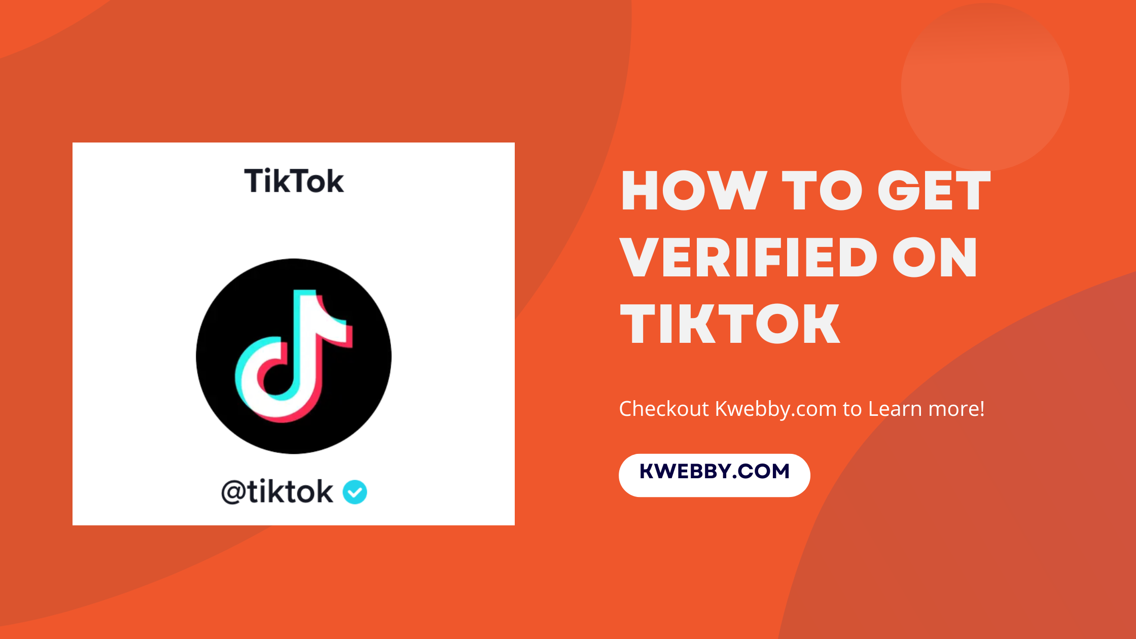 How to Get Verified on TikTok in 2024