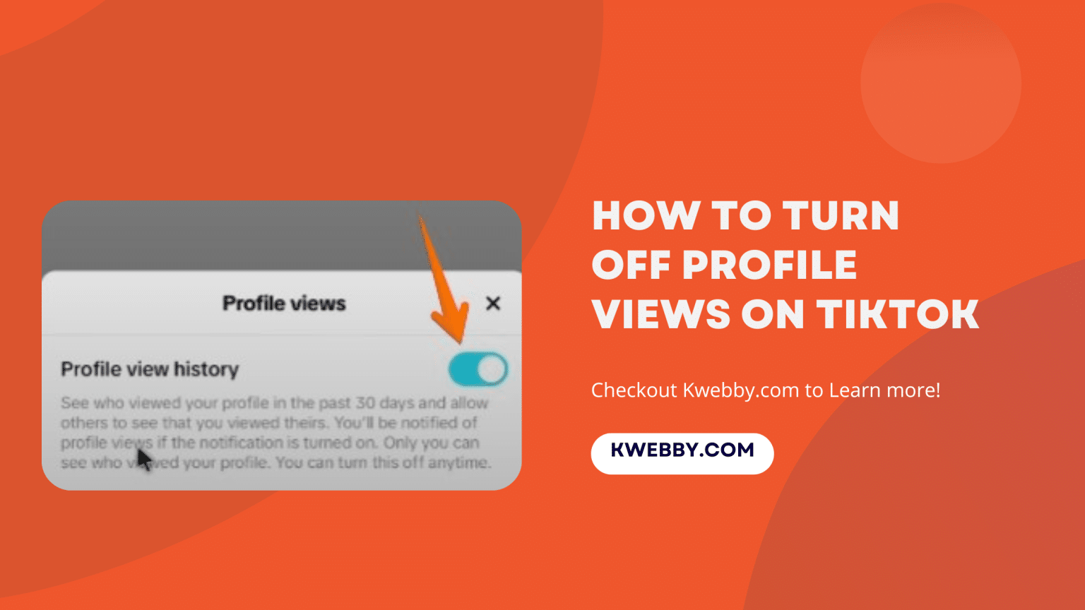 How To Turn Off Profile Views On TikTok 2 Easy Methods Kwebby how-to-turn-off-profile-views-on-tiktok-2-easy-methods-kwebby
