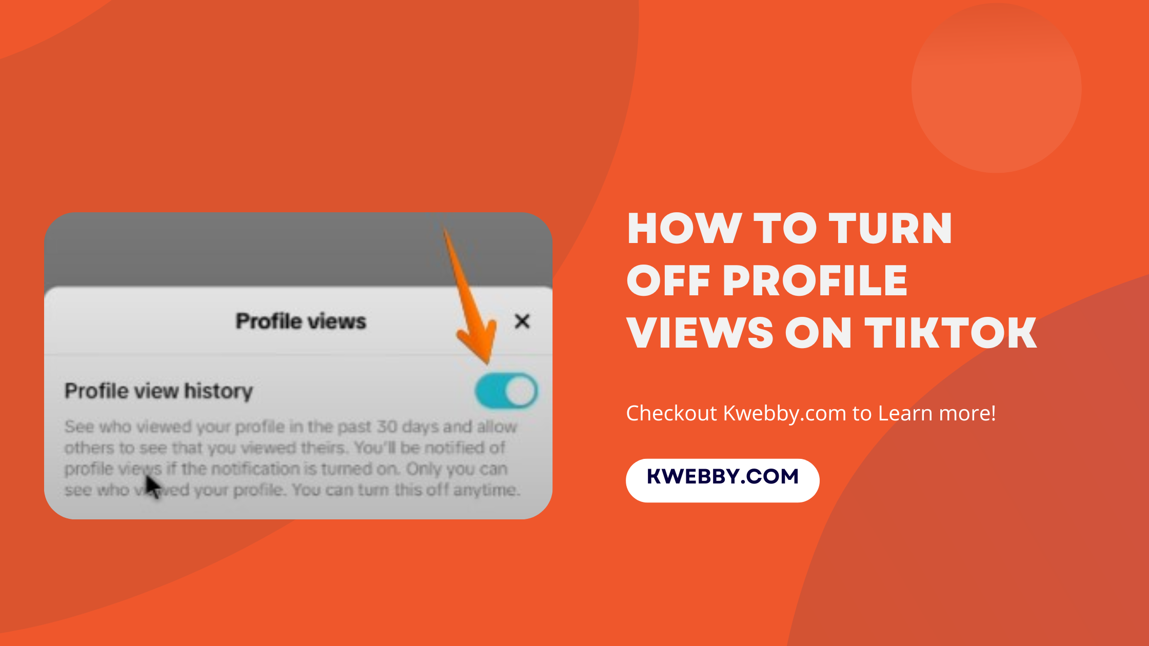 How to Turn Off Profile Views on TikTok (2 Easy Methods) 4
