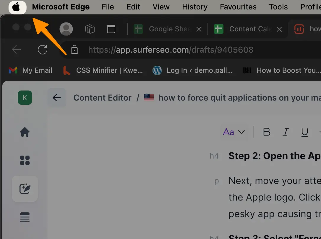 How to Force Quit Applications on your MAC (3 Methods) 12