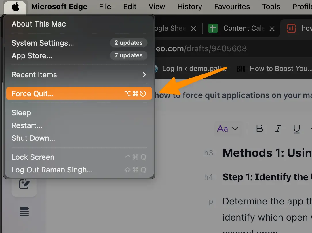 How to Force Quit Applications on your MAC (3 Methods) 13