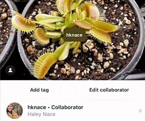 How to Add Collaborator on Instagram after Posting (2 Easy Way) 8