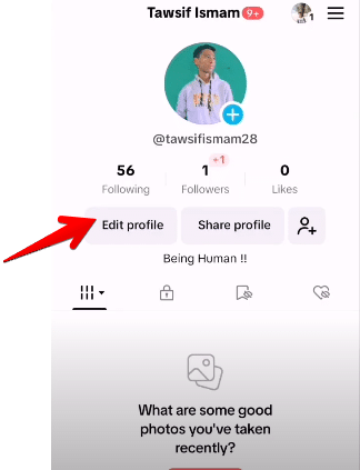 How to add Linktree to Tiktok Profile In a Few Taps 17