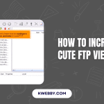 How to Increase Cute FTP view Font (3 Methods)