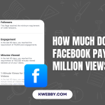 How Much Does Facebook Pay for 1 Million Views?