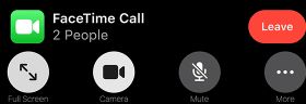 Apple's mobile-browser FaceTime example showing camera, mute, more and leave controls